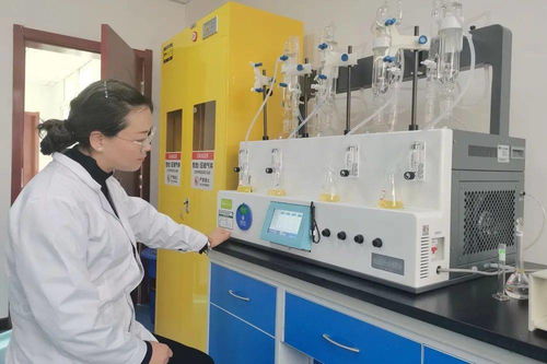 岷縣市場監管局食品藥品檢驗檢測中心高效完成黨參飲片二氧化硫殘留委托檢驗，助力營利性民辦職業技能培訓機構規范發展